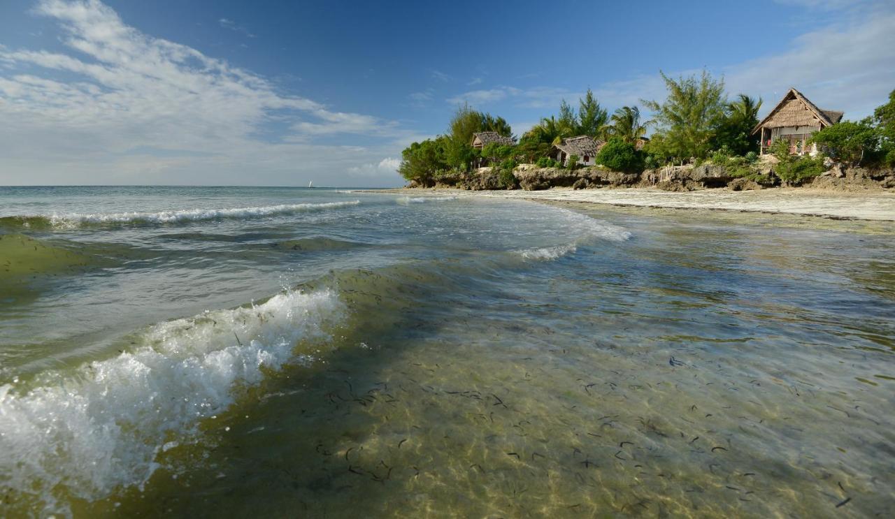 Afya Village At The Sea Michamvi Kae Экстерьер фото