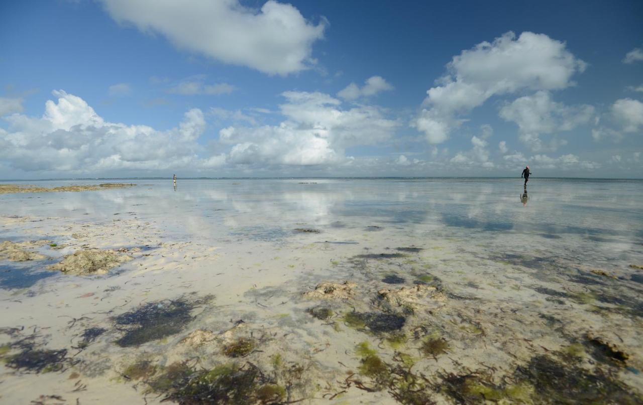 Afya Village At The Sea Michamvi Kae Экстерьер фото